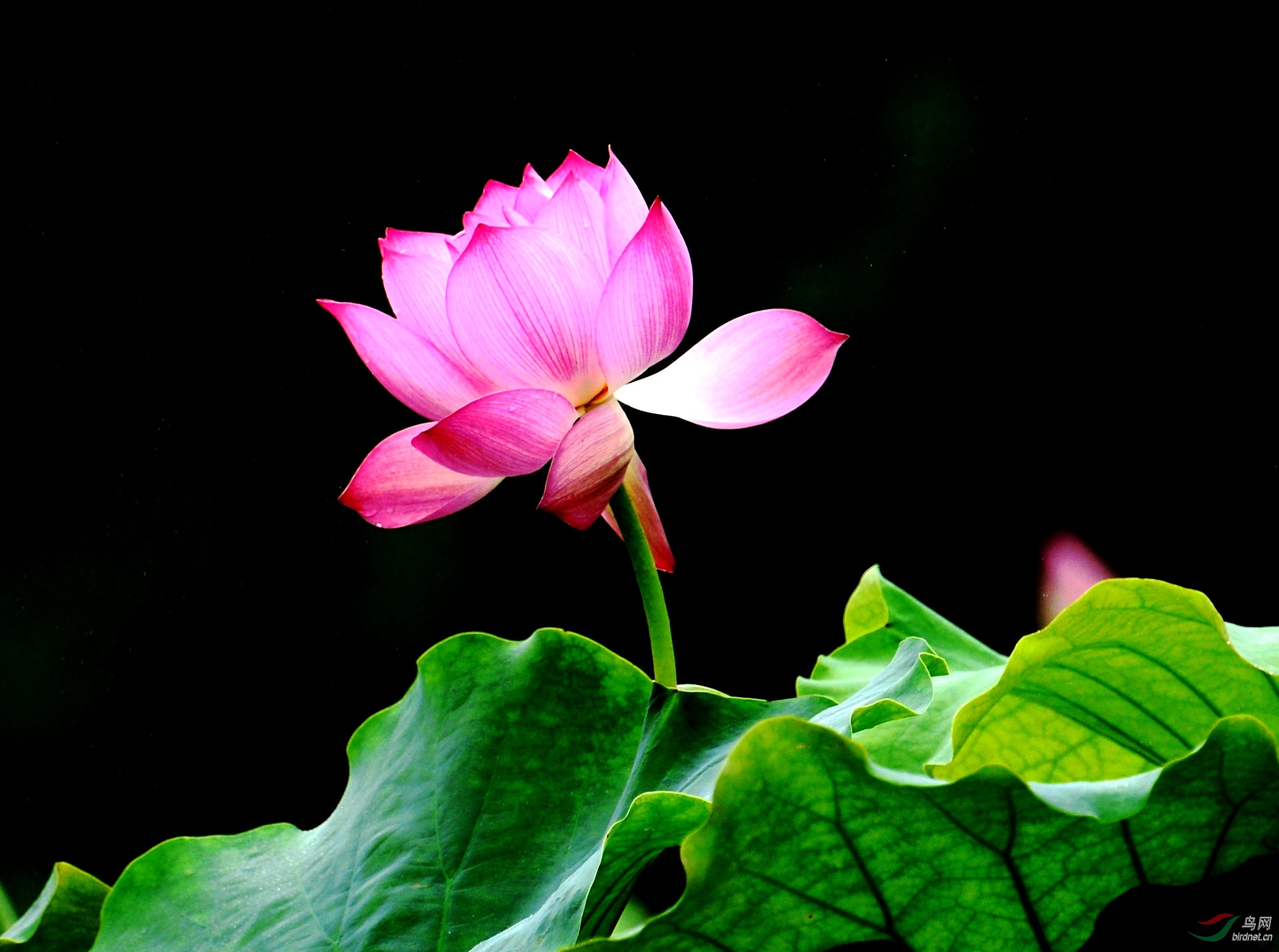 DSC_8260_conew7.jpg