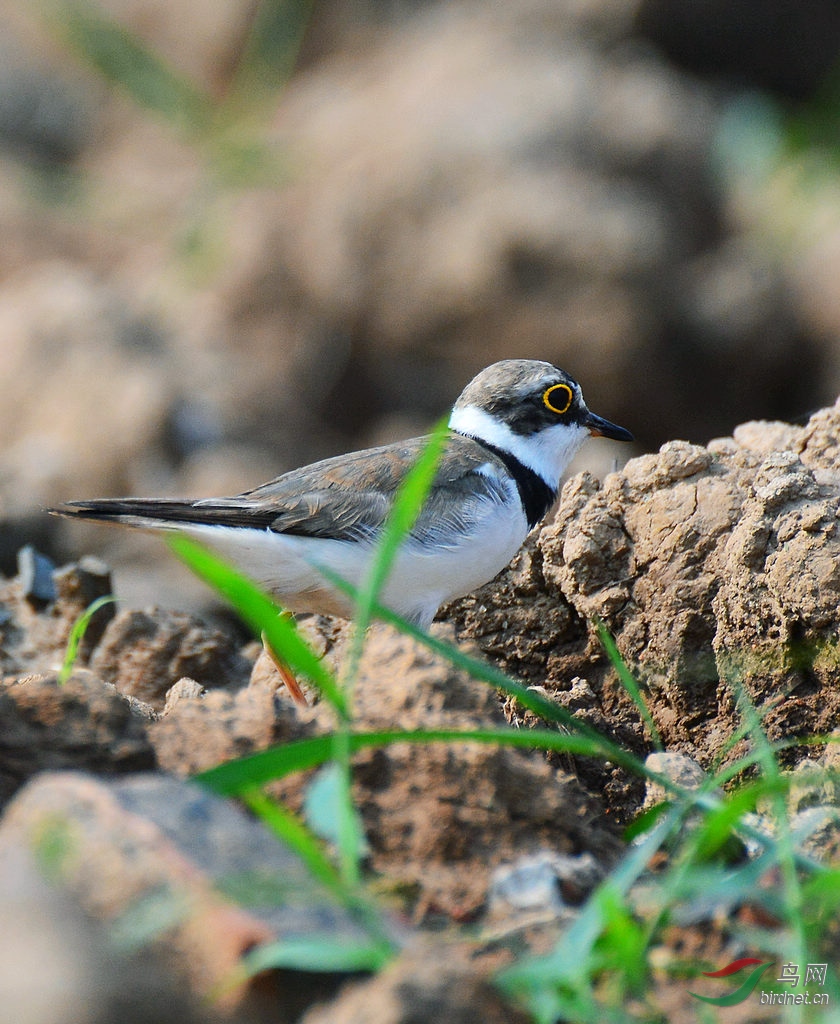 DSC_3573.JPG