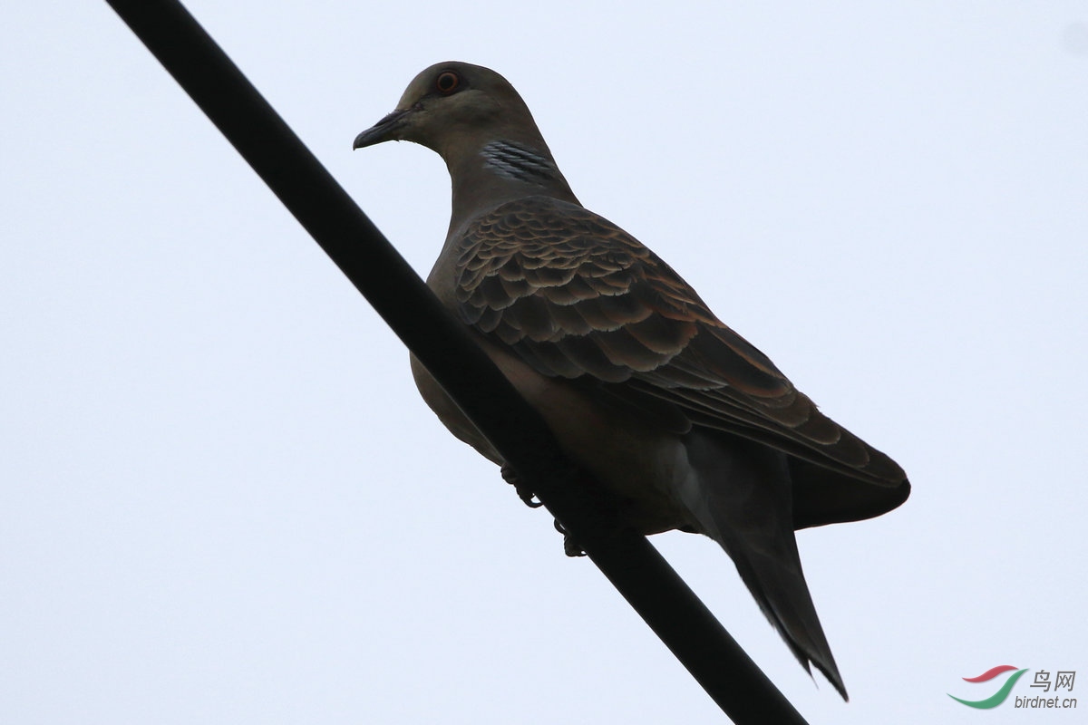 5��ʲô��洖