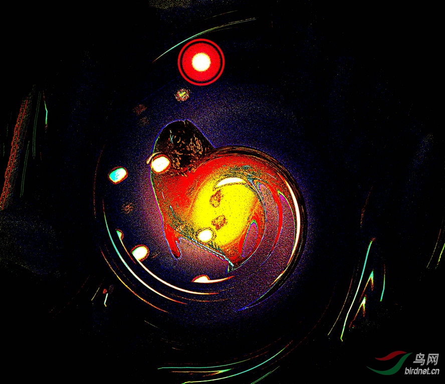 BW6I2215_����_����_����1_����.jpg