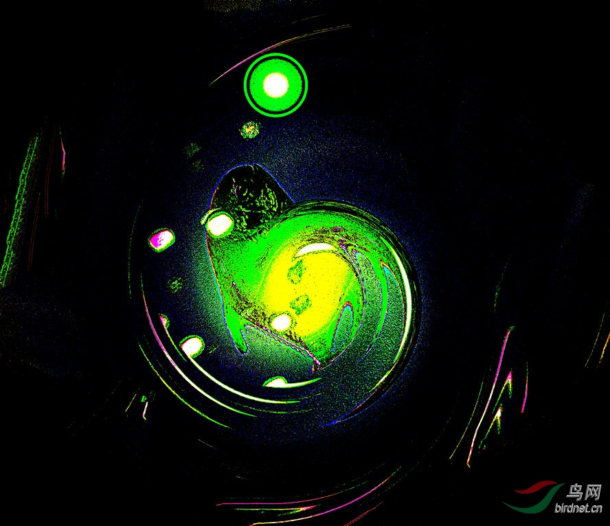 BW6I2215_����_����_����1_����1_����.jpg