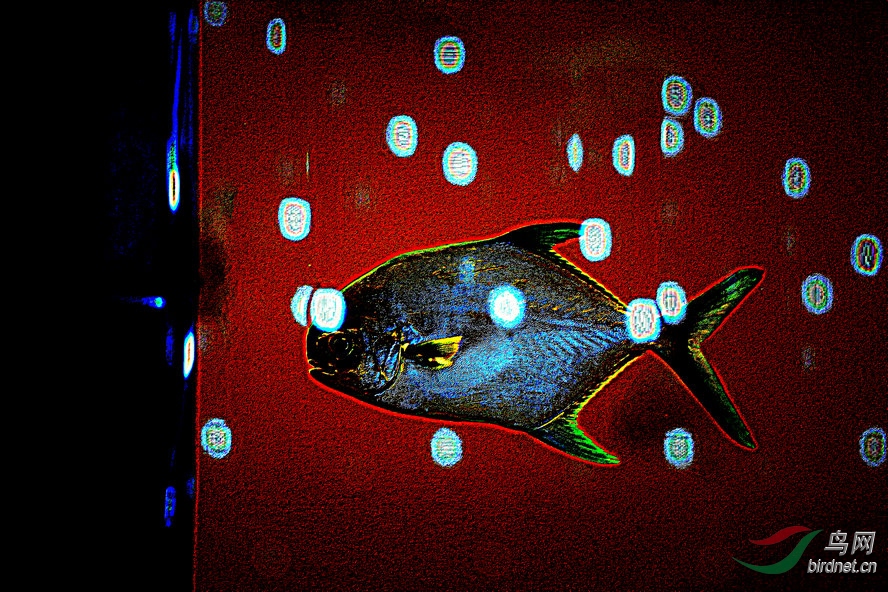 BW6I2211_����_����1_����.jpg