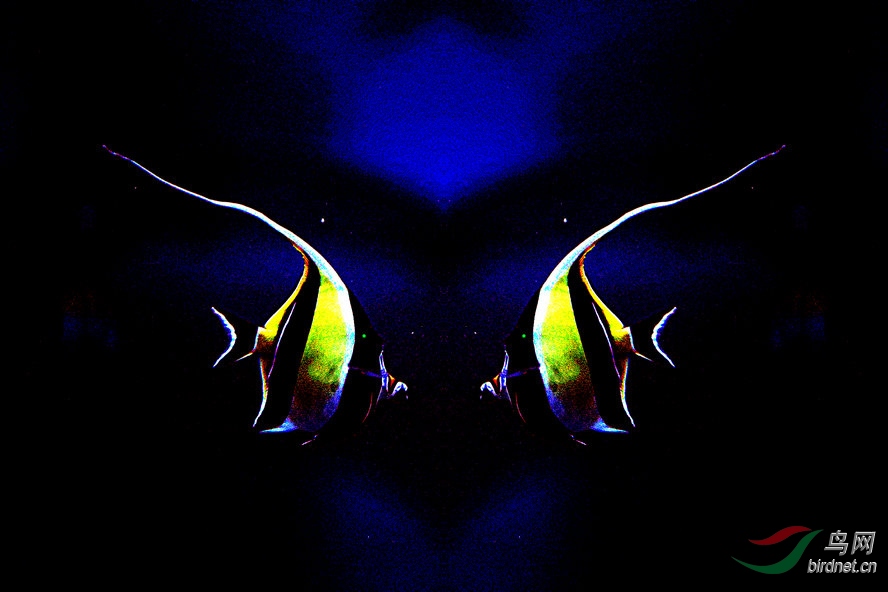 BW6I2257_����_����.jpg