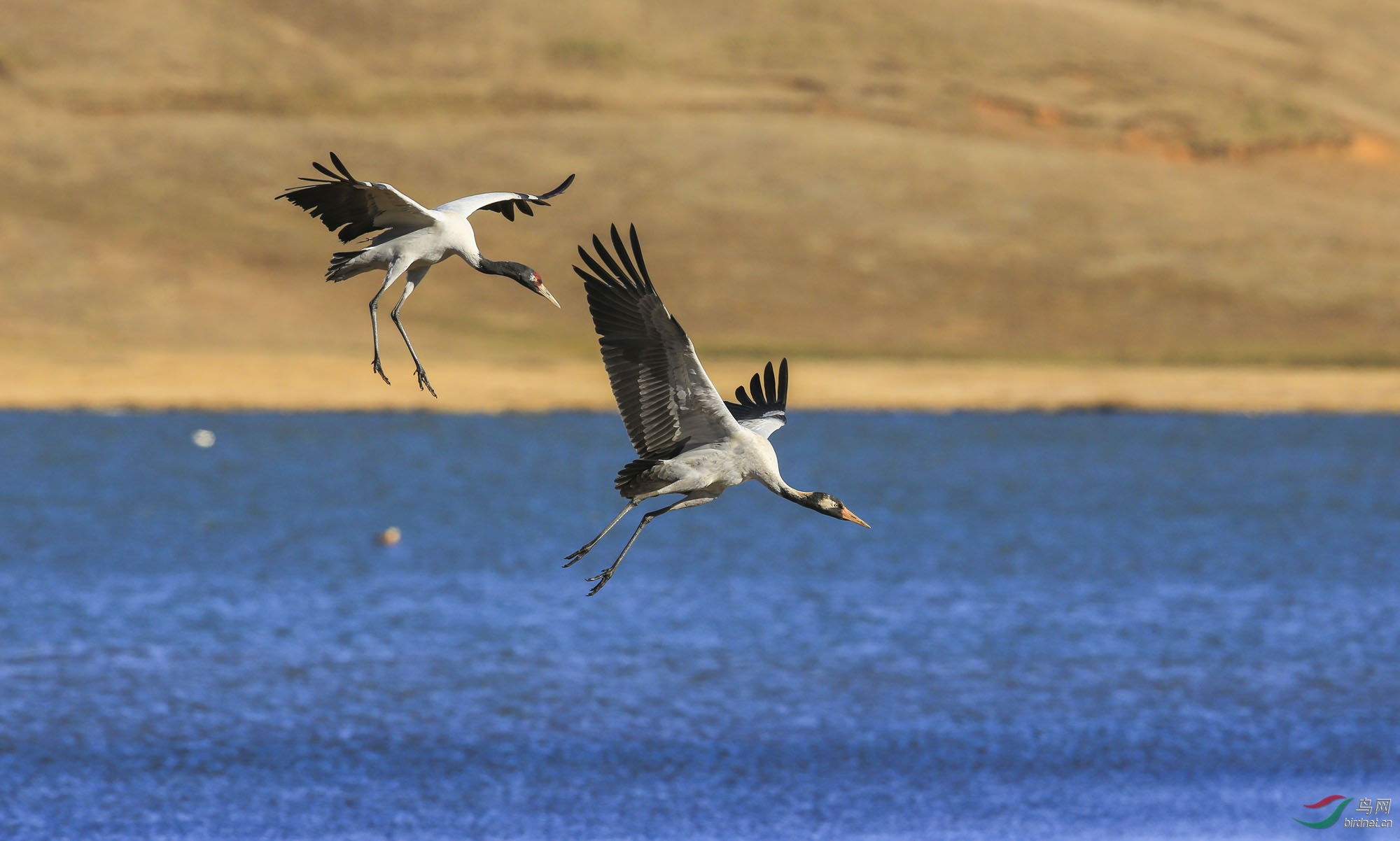 �ھ���   ��Ӱ���� (2).jpg