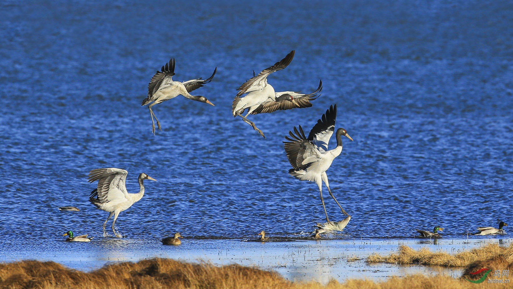 �ھ��� (2).jpg