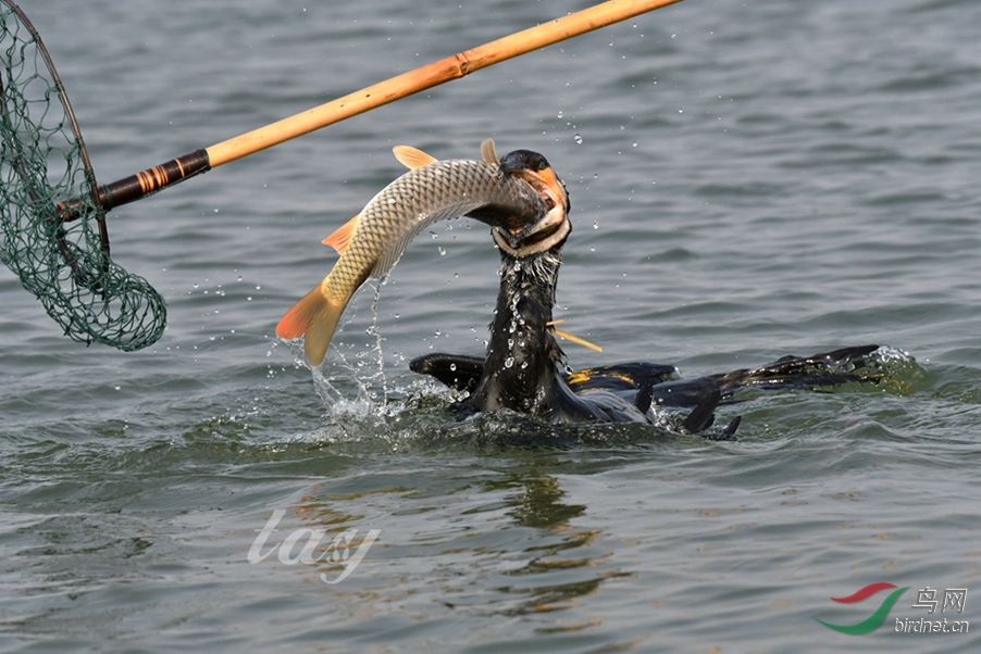 12 - ����.JPG