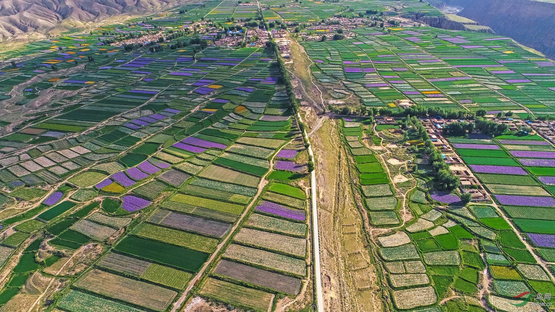 DJI_0052_.jpg