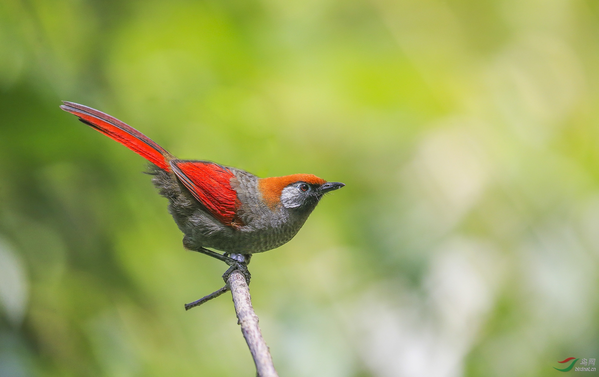 4a������ (3)-.jpg