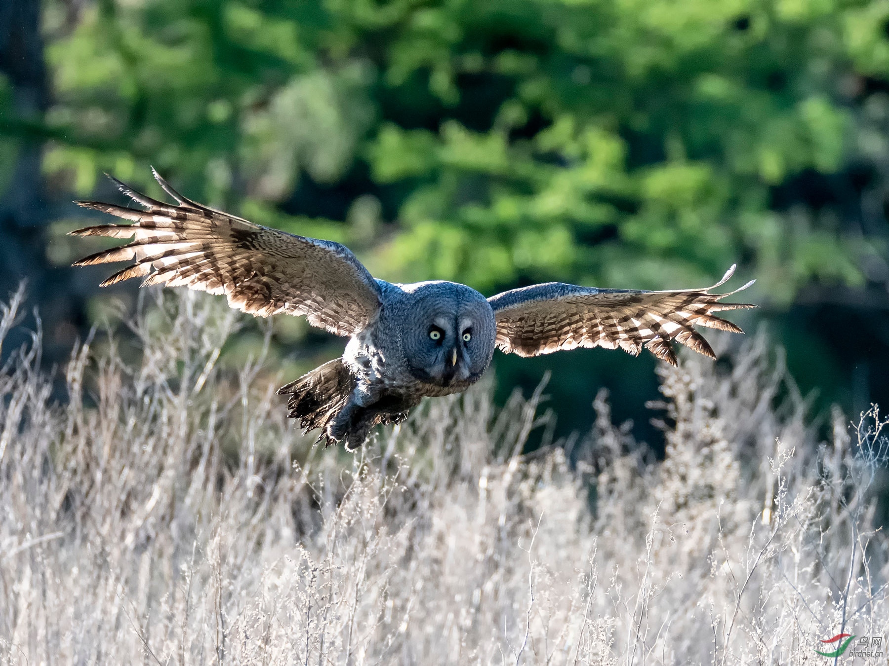 DSC_1558-1��2019.6.20��Ƶ�棩_����.jpg