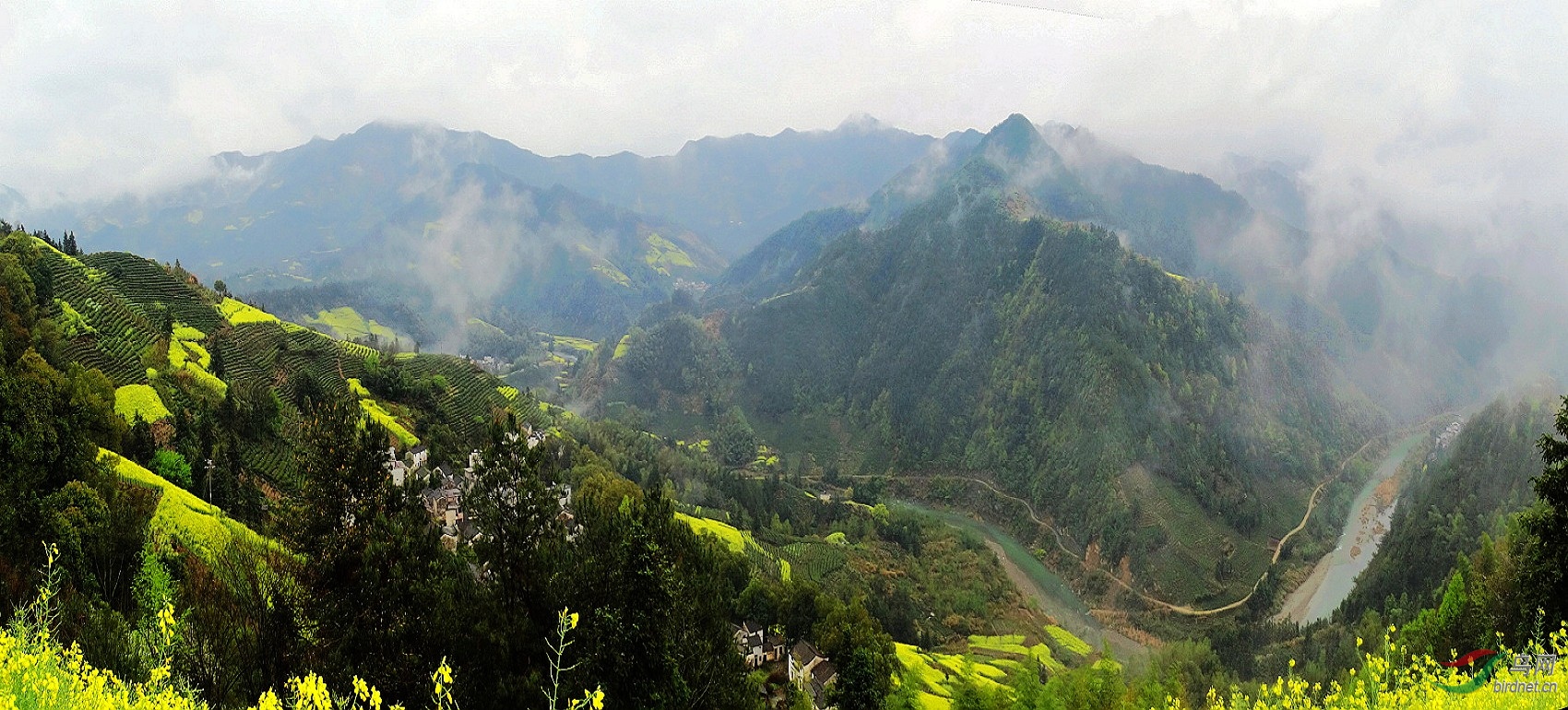 ���ʯ̶      1.JPG