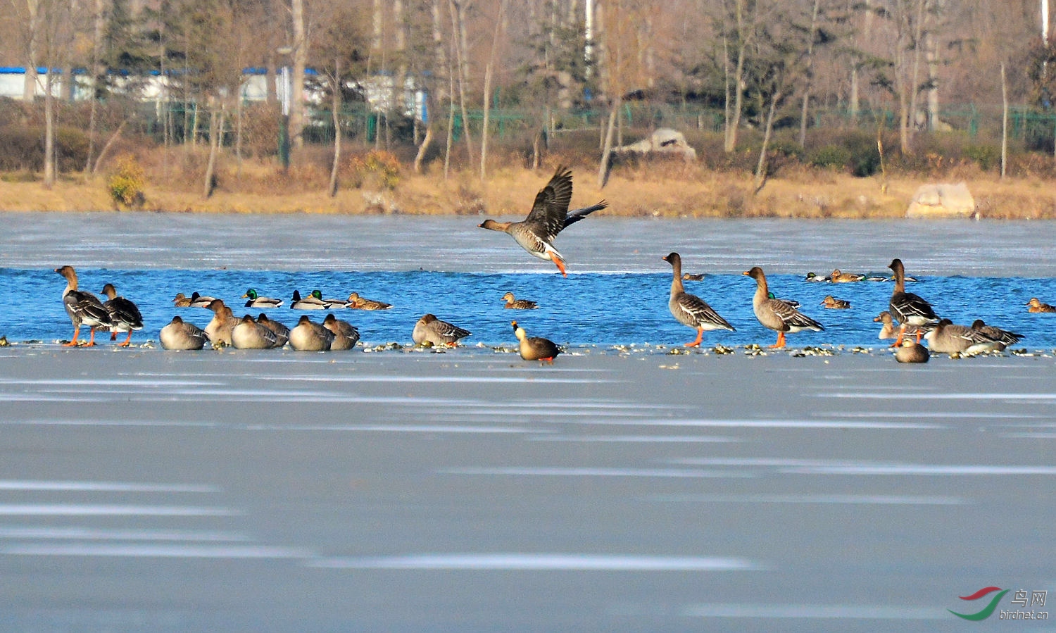 DSC_6335.JPG