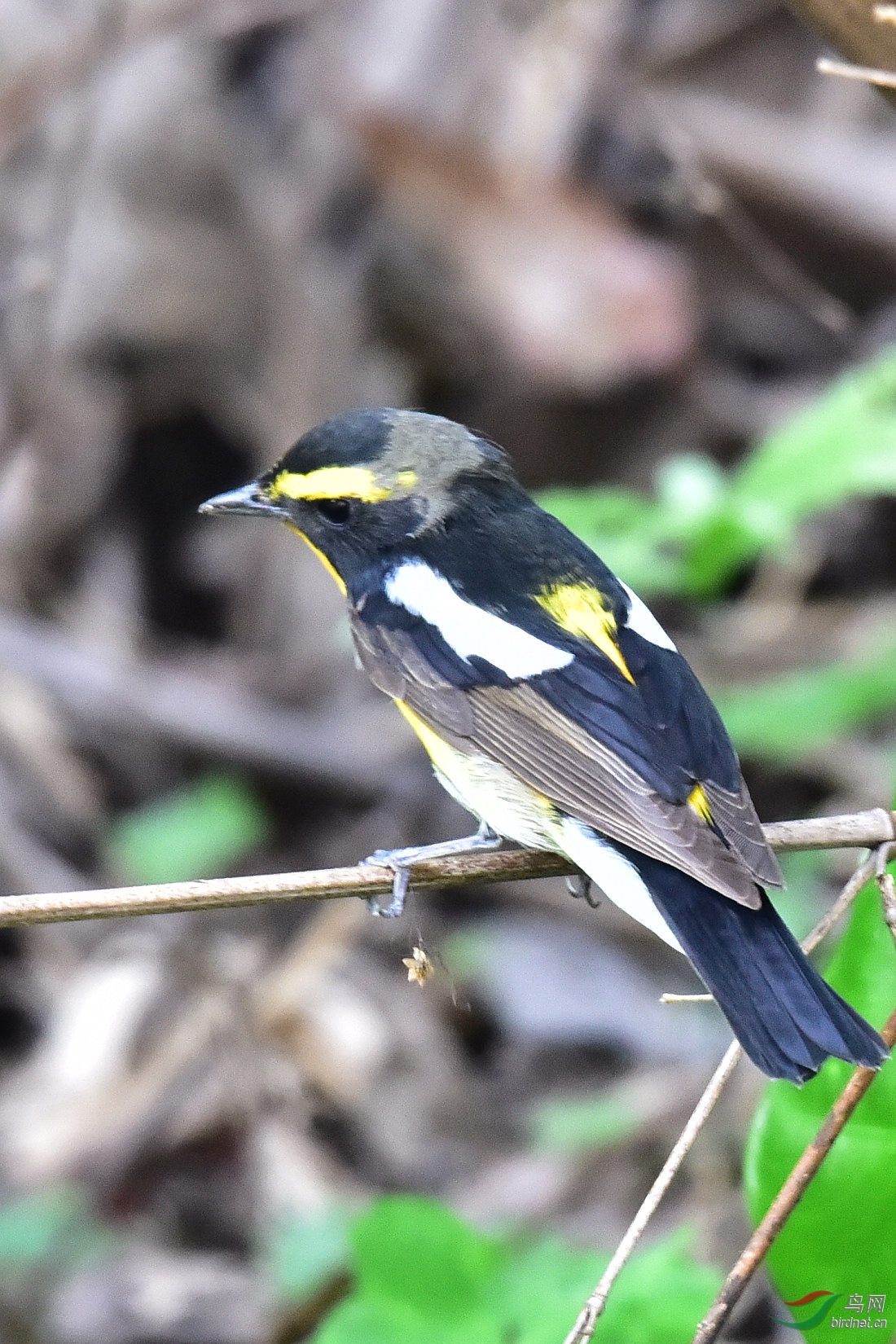 DSC_0145.JPG