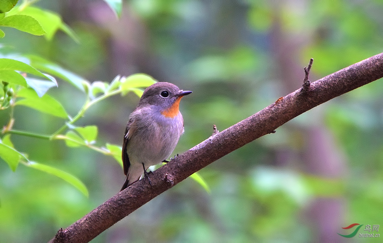 DSC_5404.JPG