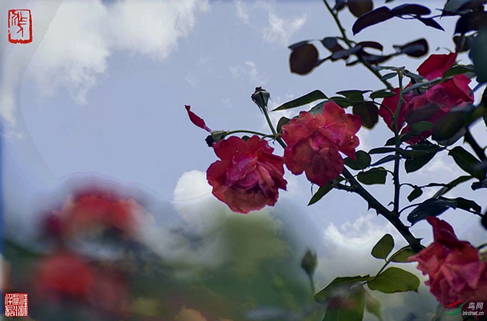 045B947D-F356-46DB-BB4E-D1C3B1A8EE0C.jpeg