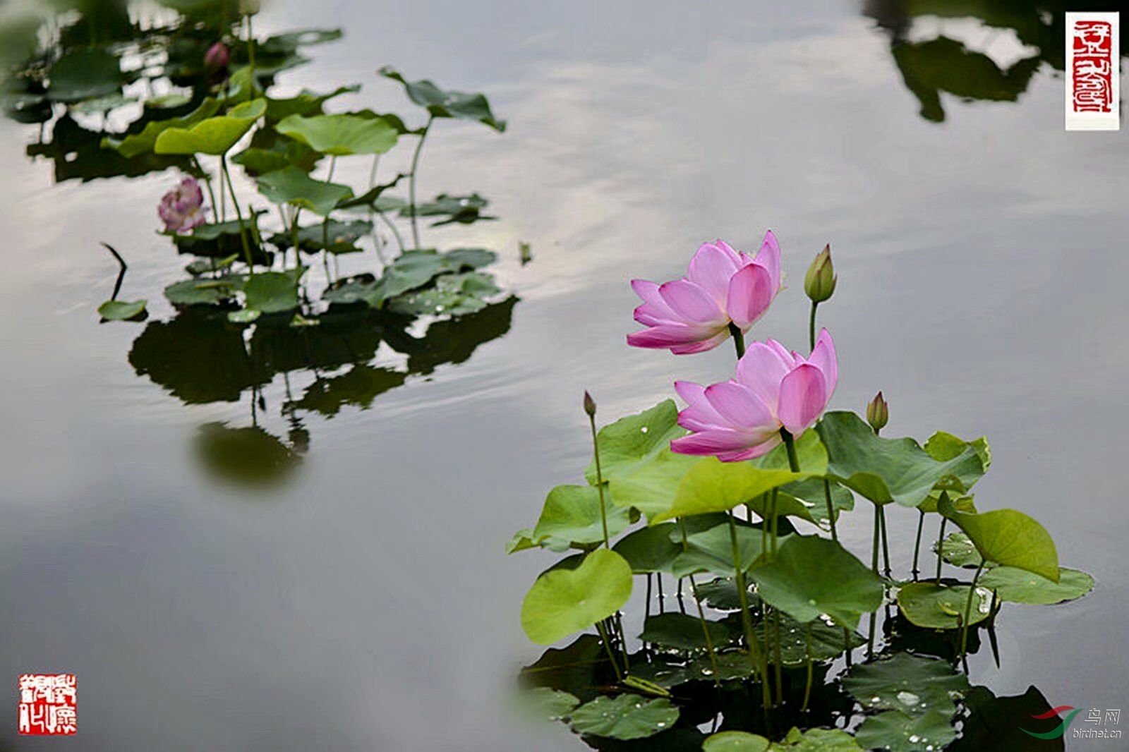 FD90E575-F237-4D8B-BE3B-248D0B01E152.jpeg