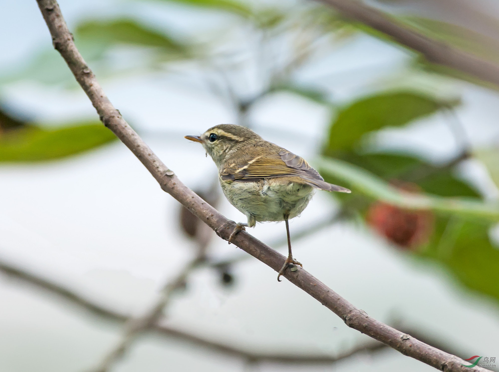 DSC_1404-1.jpg