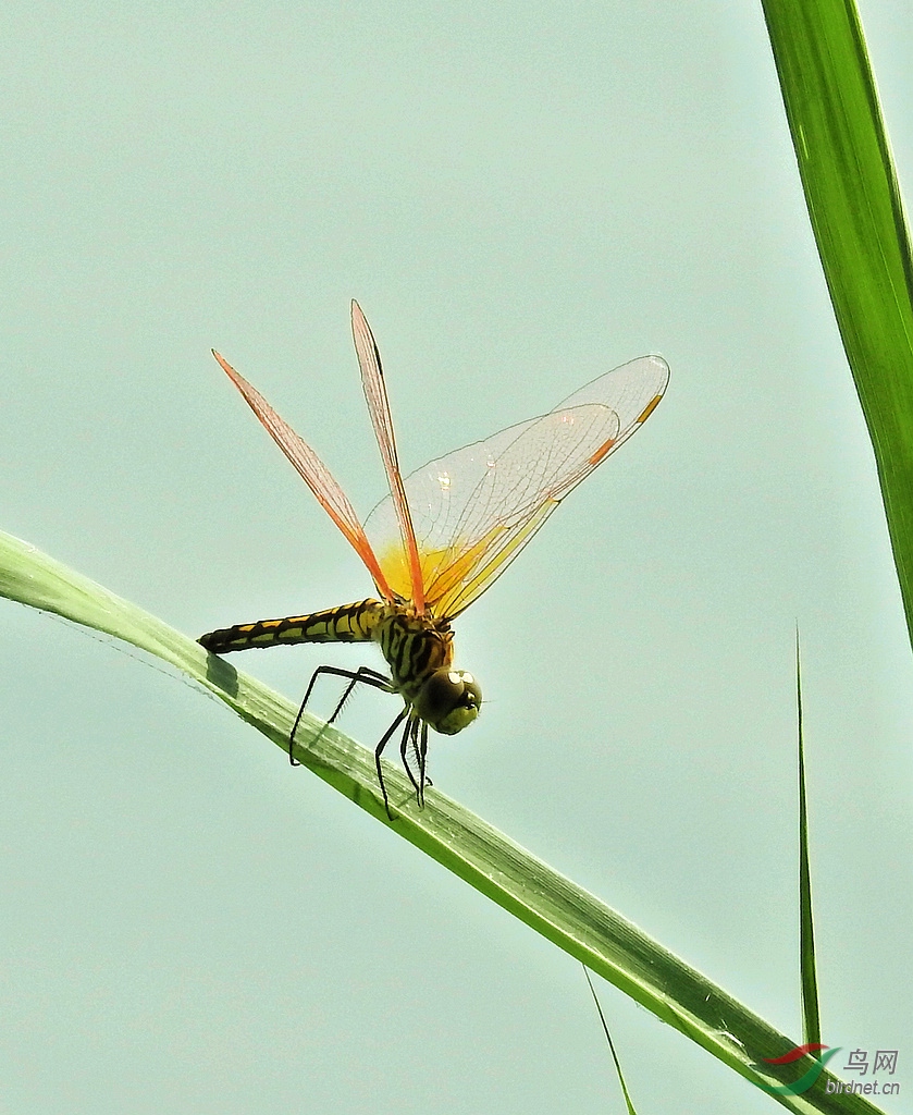 DSCN2764.JPG