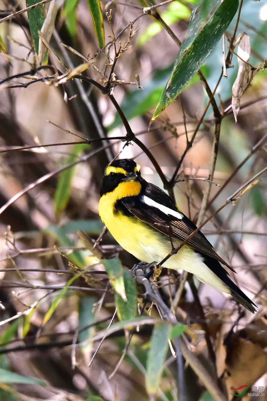 DSC_0156.JPG
