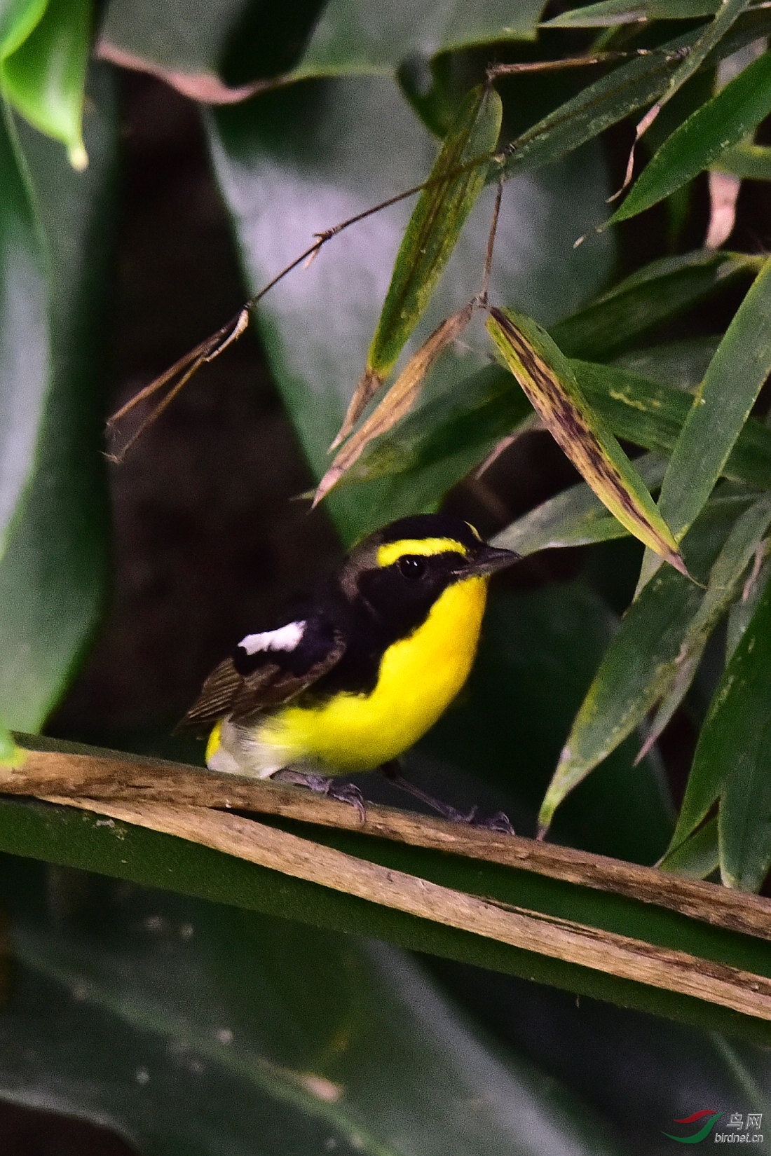 DSC_0163.JPG
