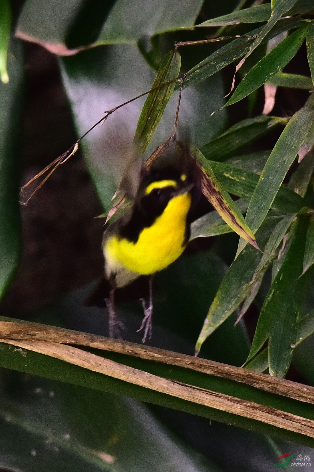 DSC_0164.JPG