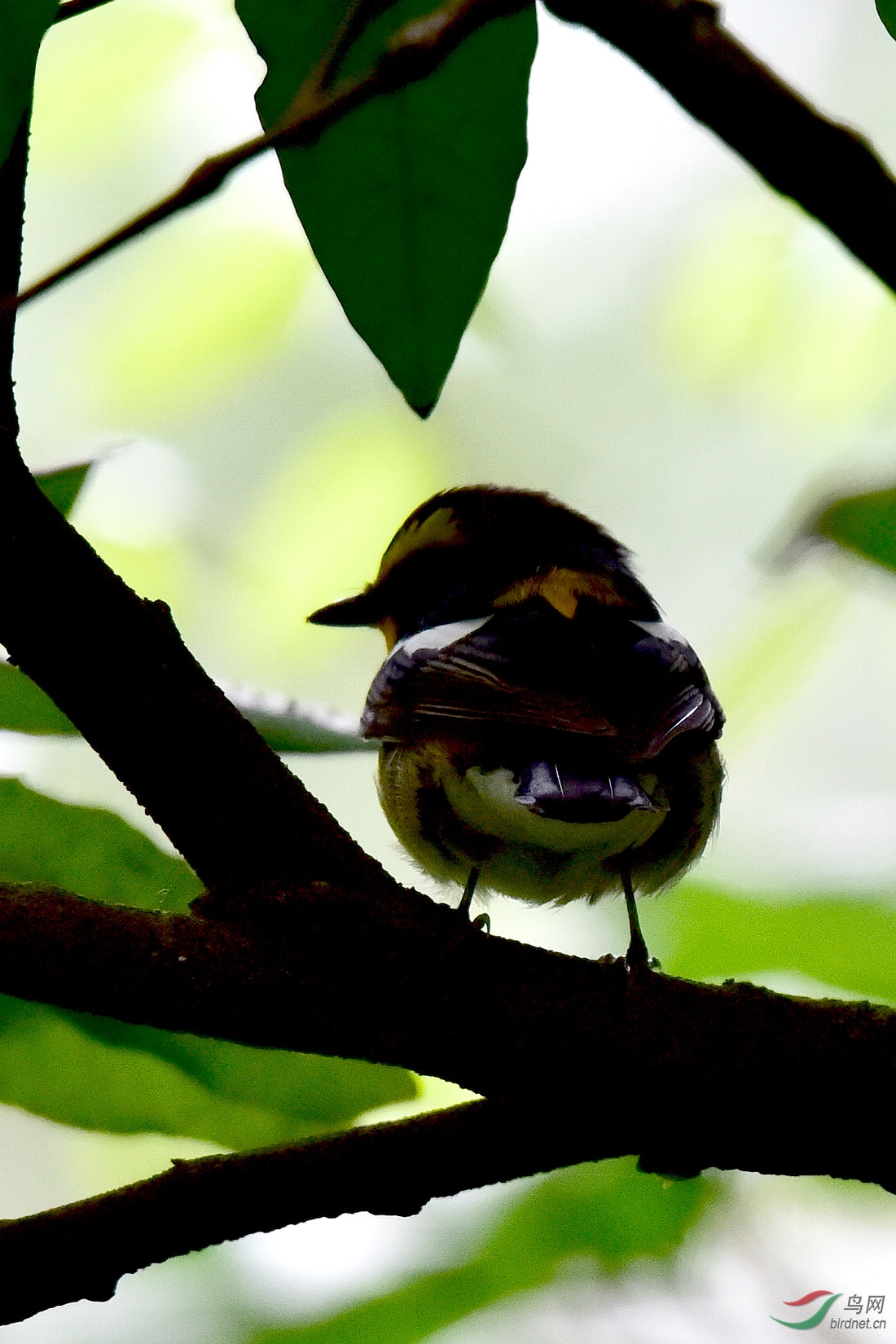 DSC_0165.JPG