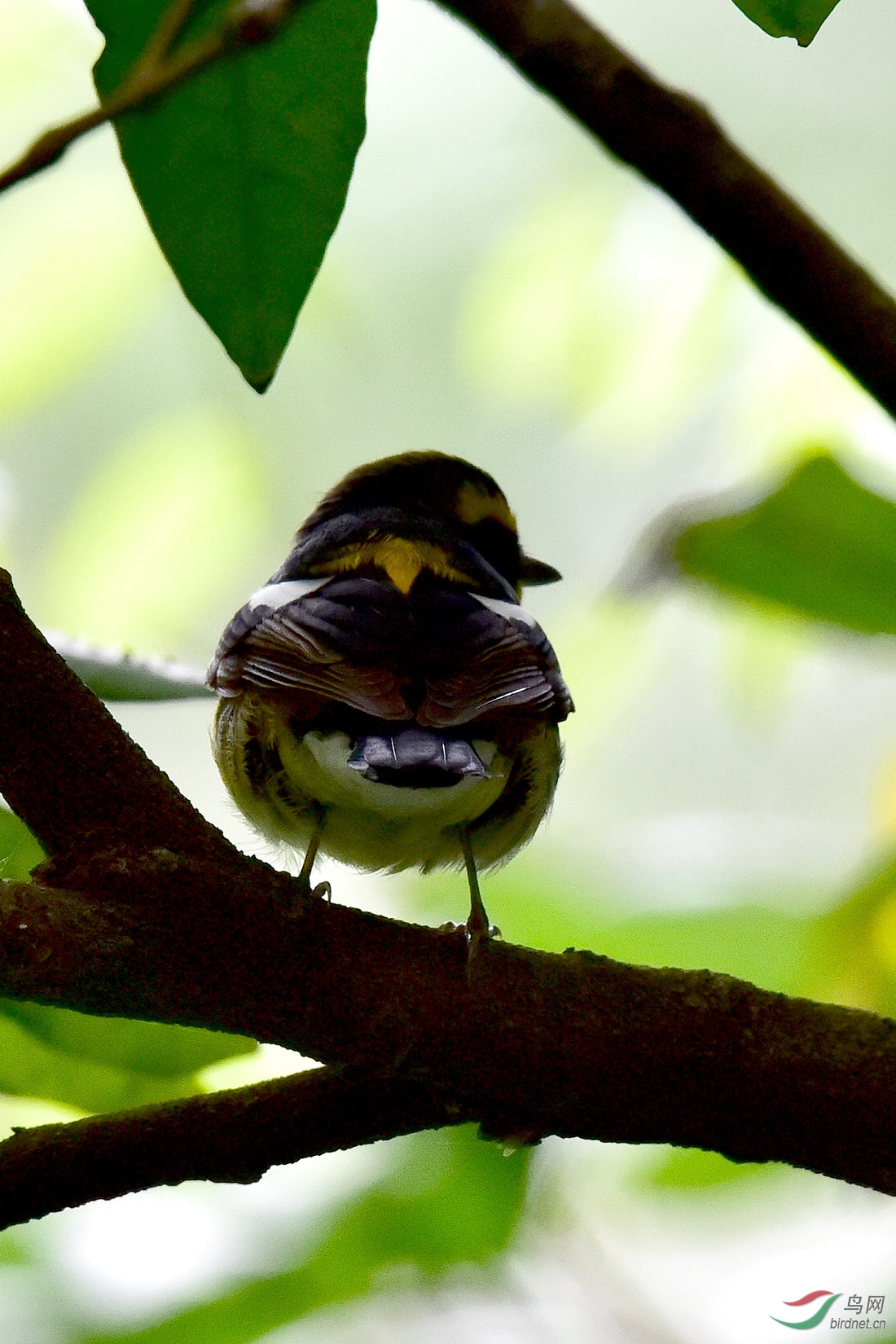 DSC_0166.JPG