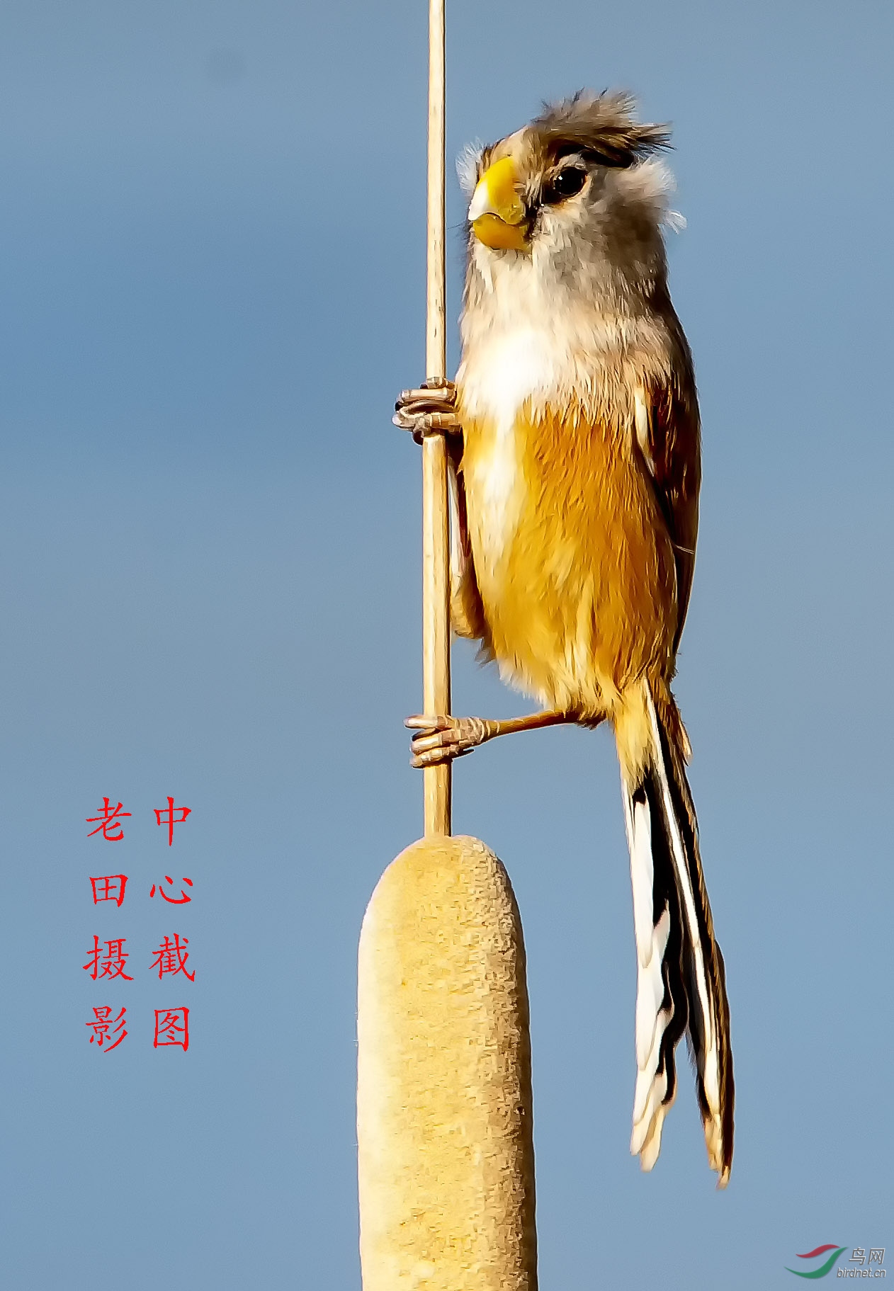 DSC_9068.��ѻȸ ��ͼ.jpg