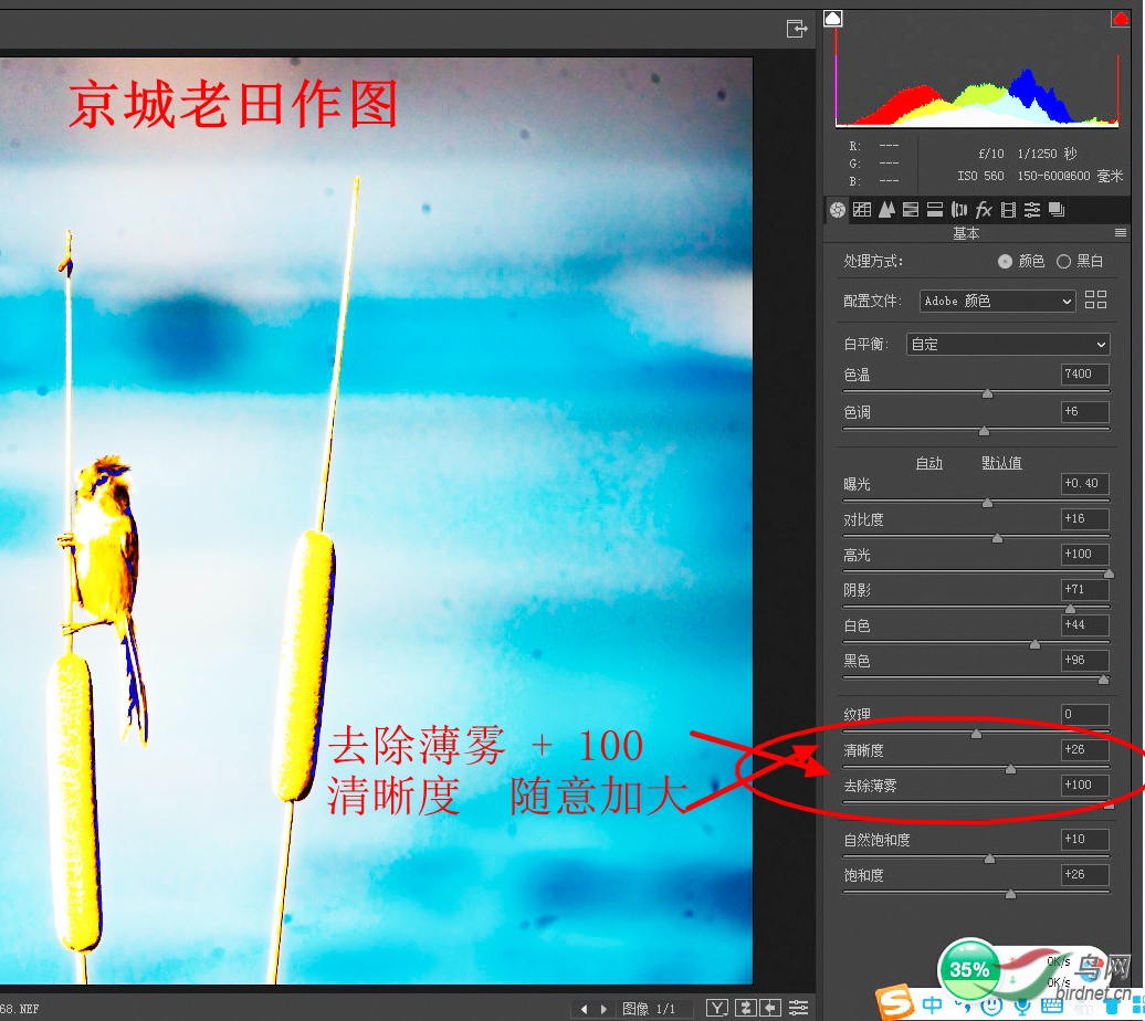 Snipaste_2019-06-22_22-48-46.jpg  2_����.jpg
