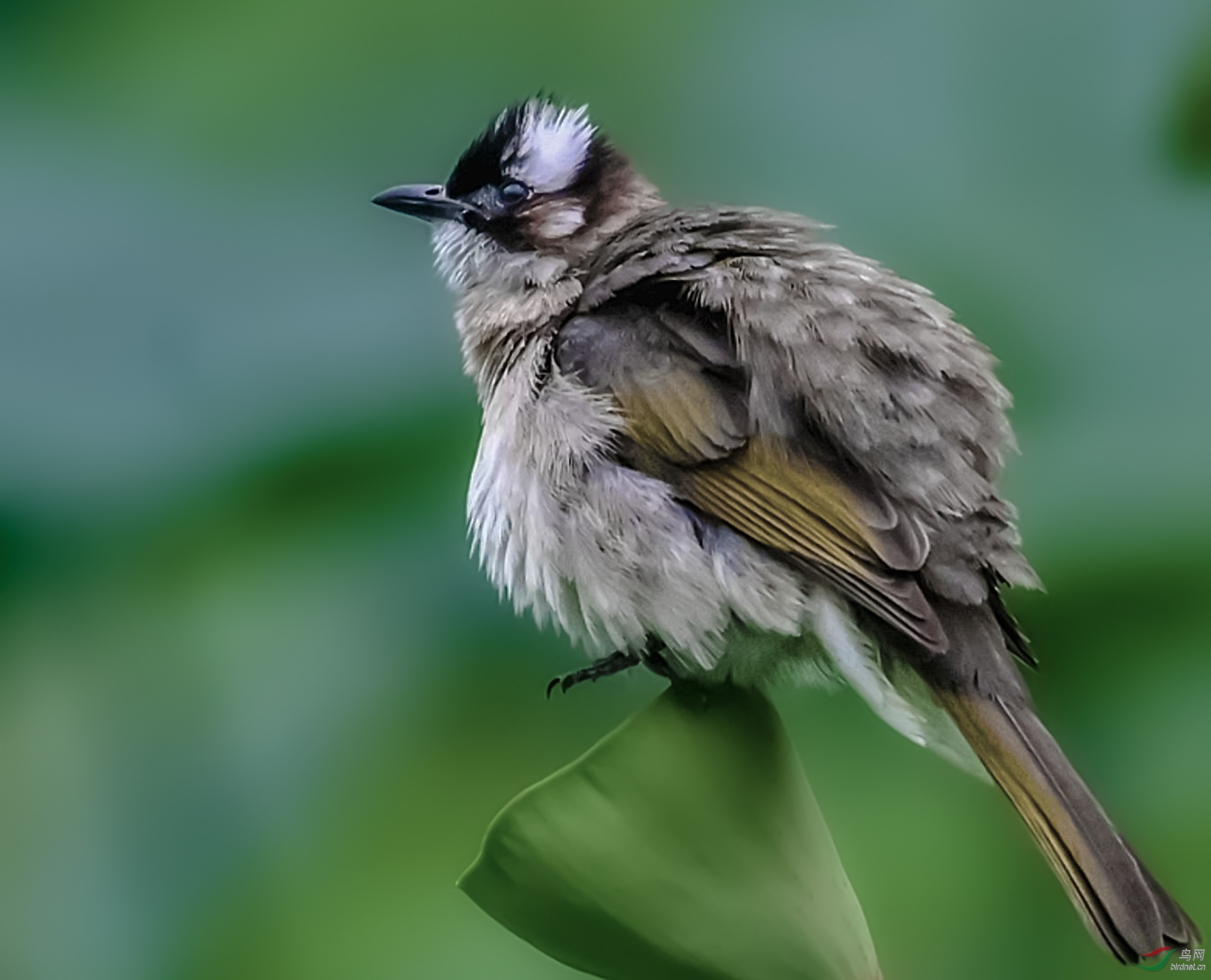 ���� ����1.jpg