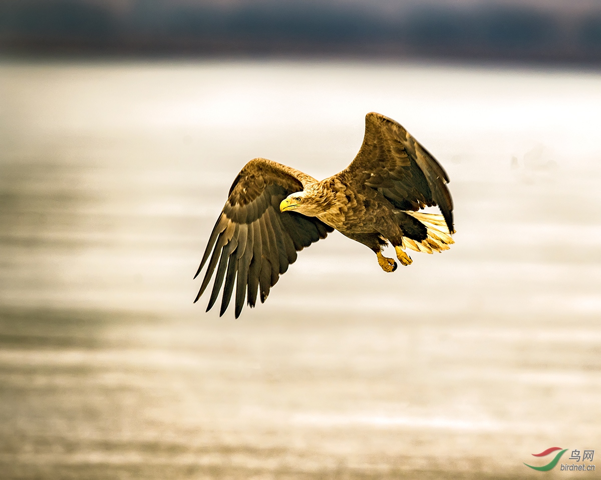 _DSC1330---A06-05��β����--T.jpg