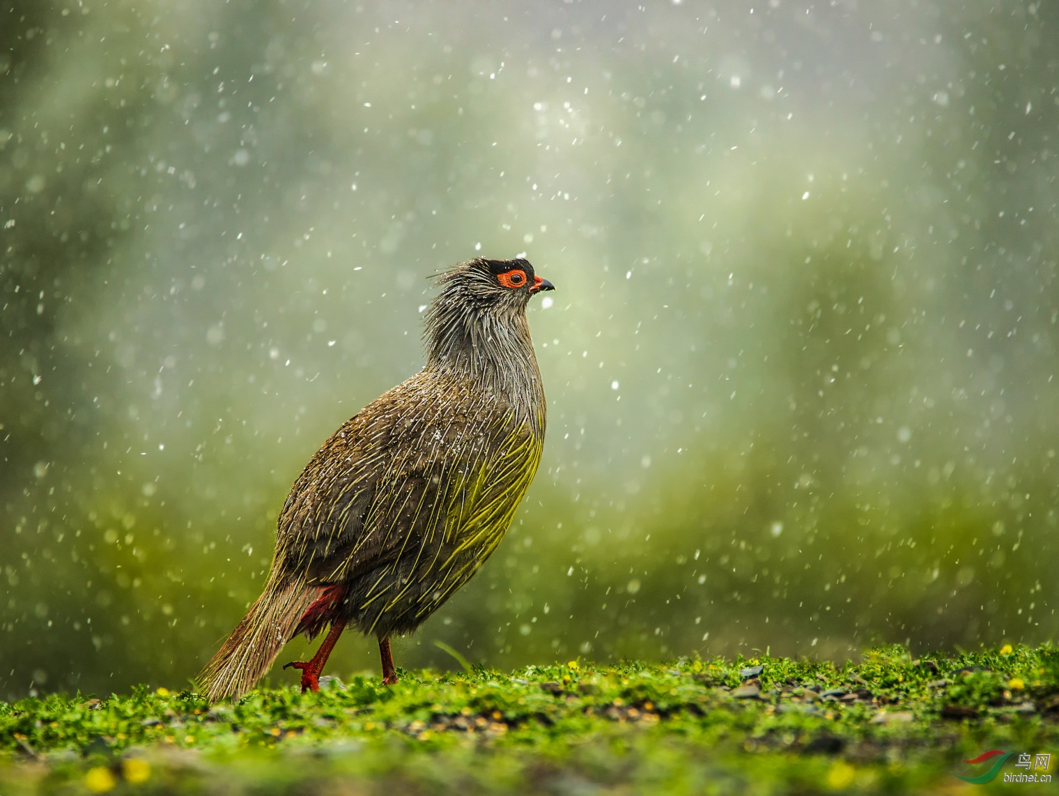 ����Ѫ��   _01.JPG