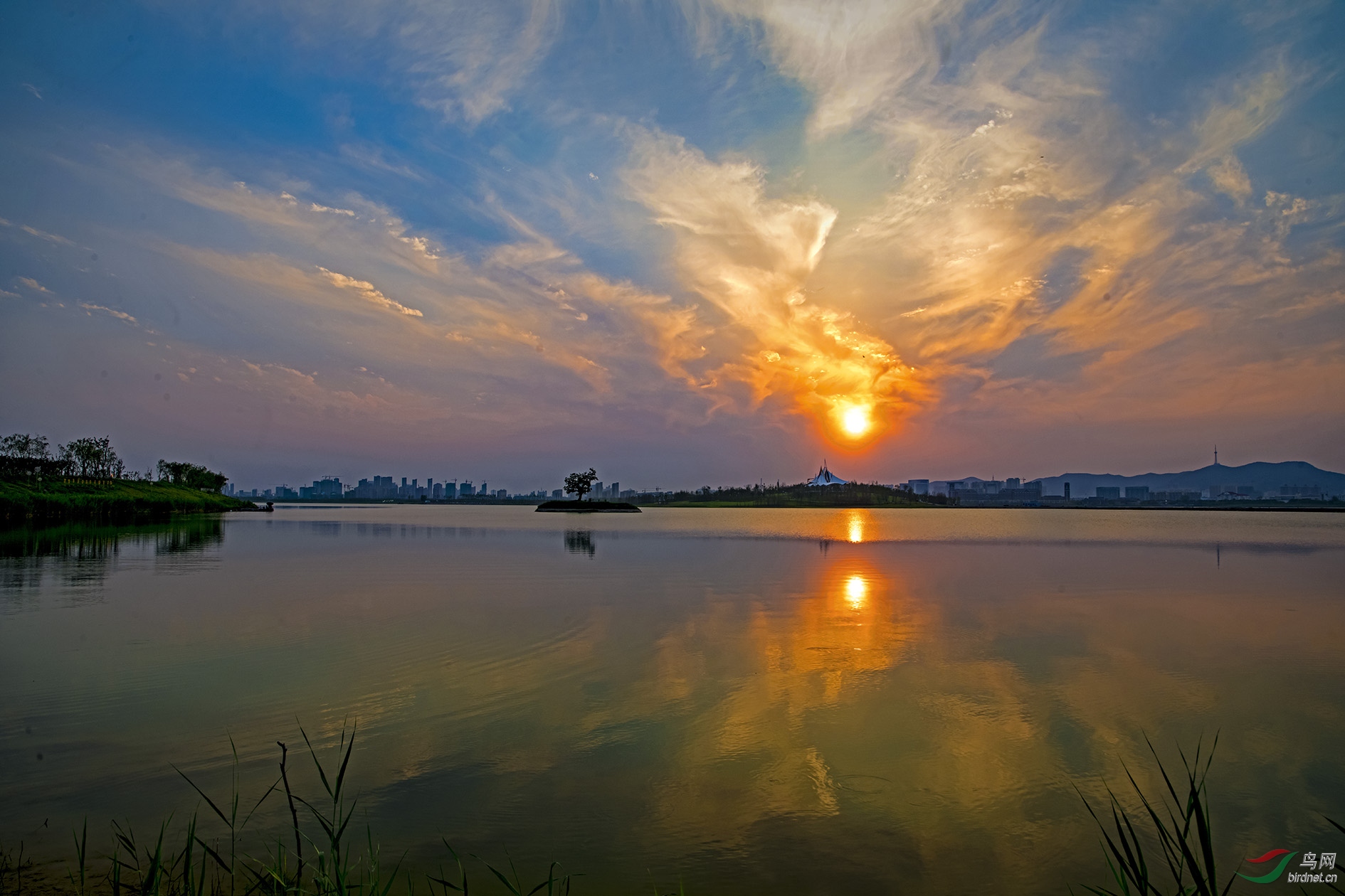 DSC_7524.jpg
