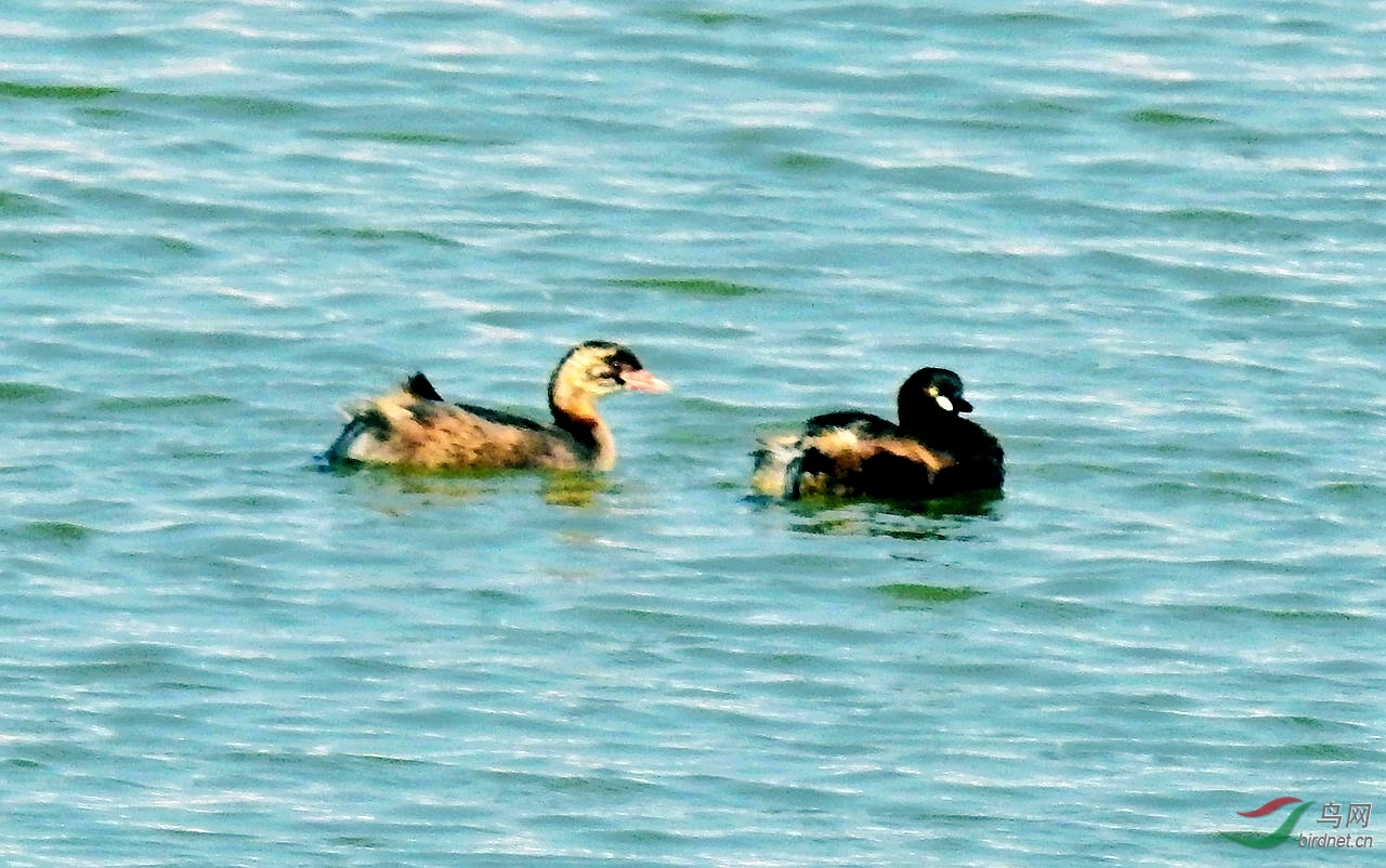 DSCN1977.JPG