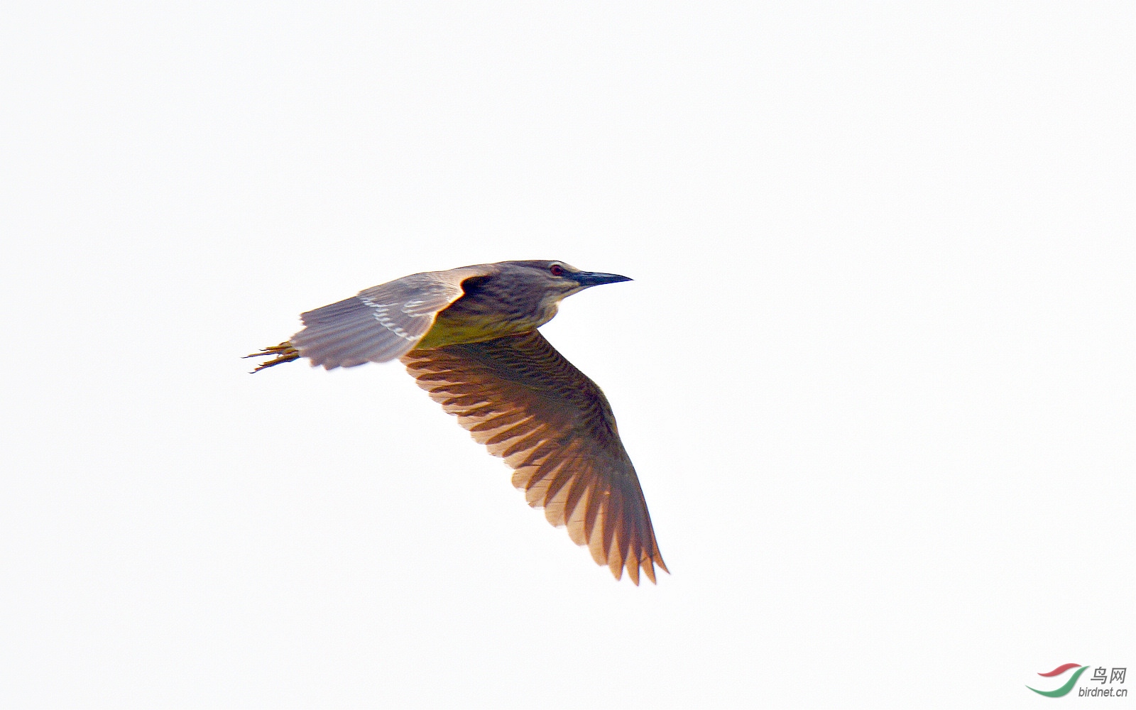 DSC_9844.JPG