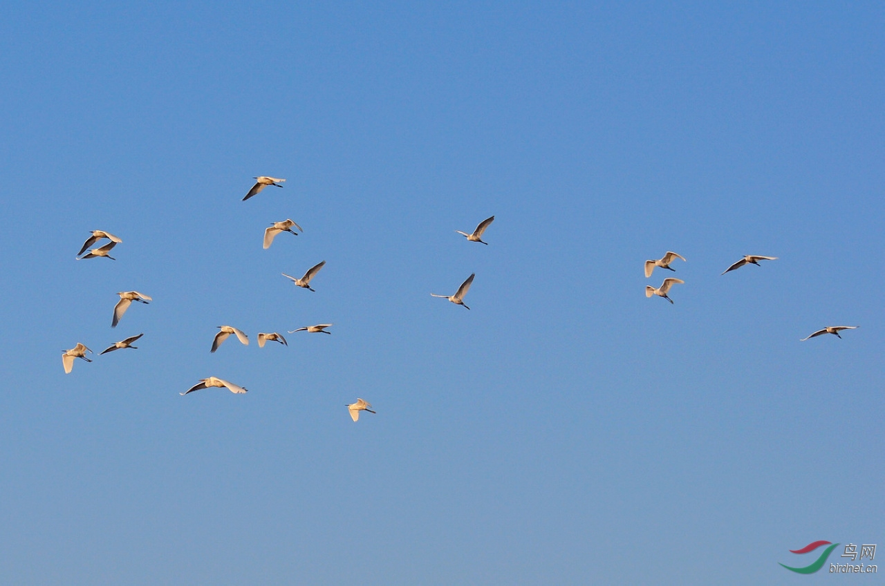 DSC_4461.JPG