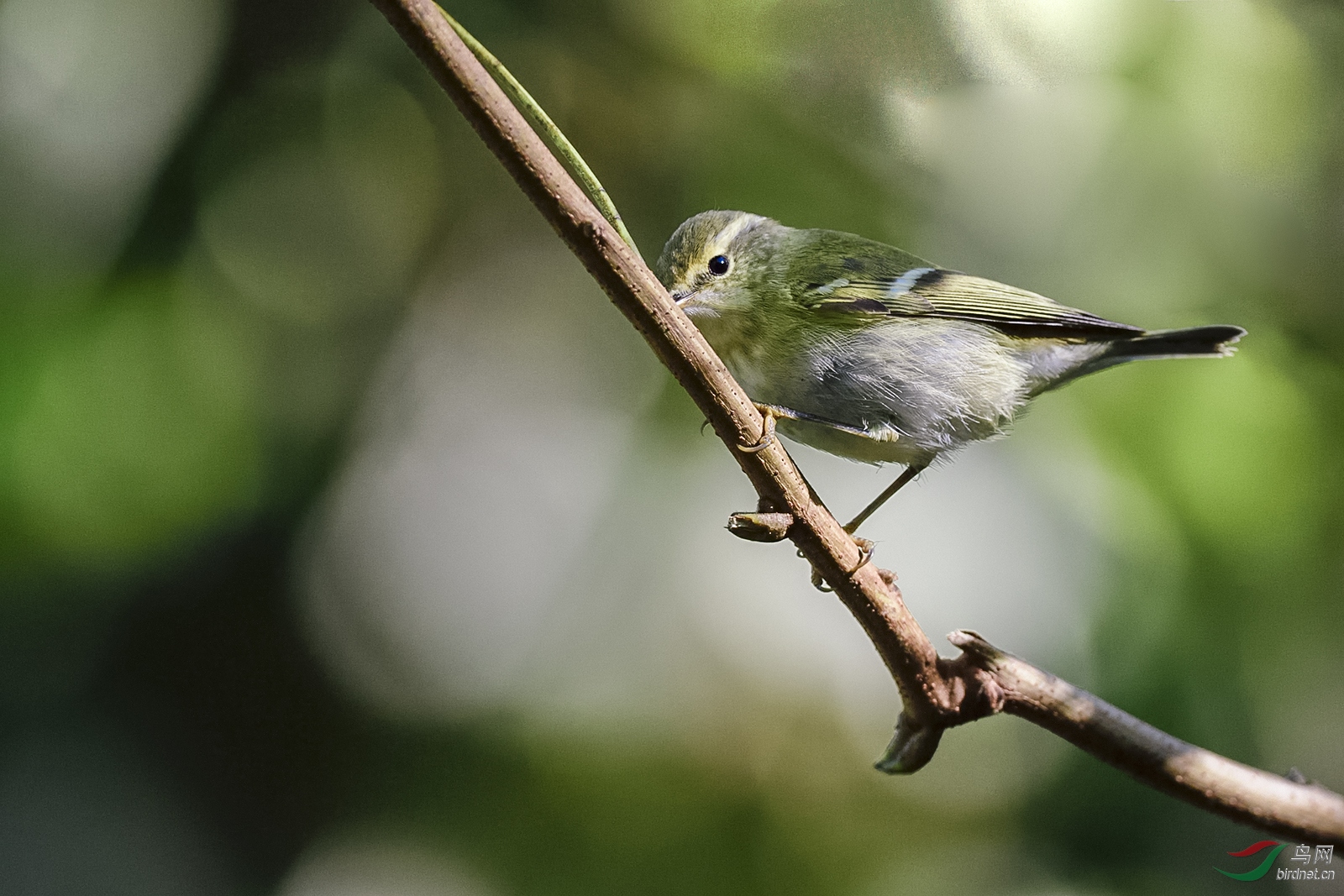 _D5S9165_4952a.jpg