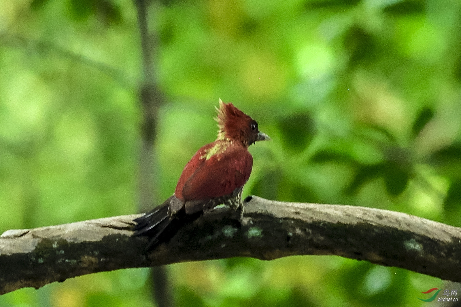 _DSC3780_5250a.jpg