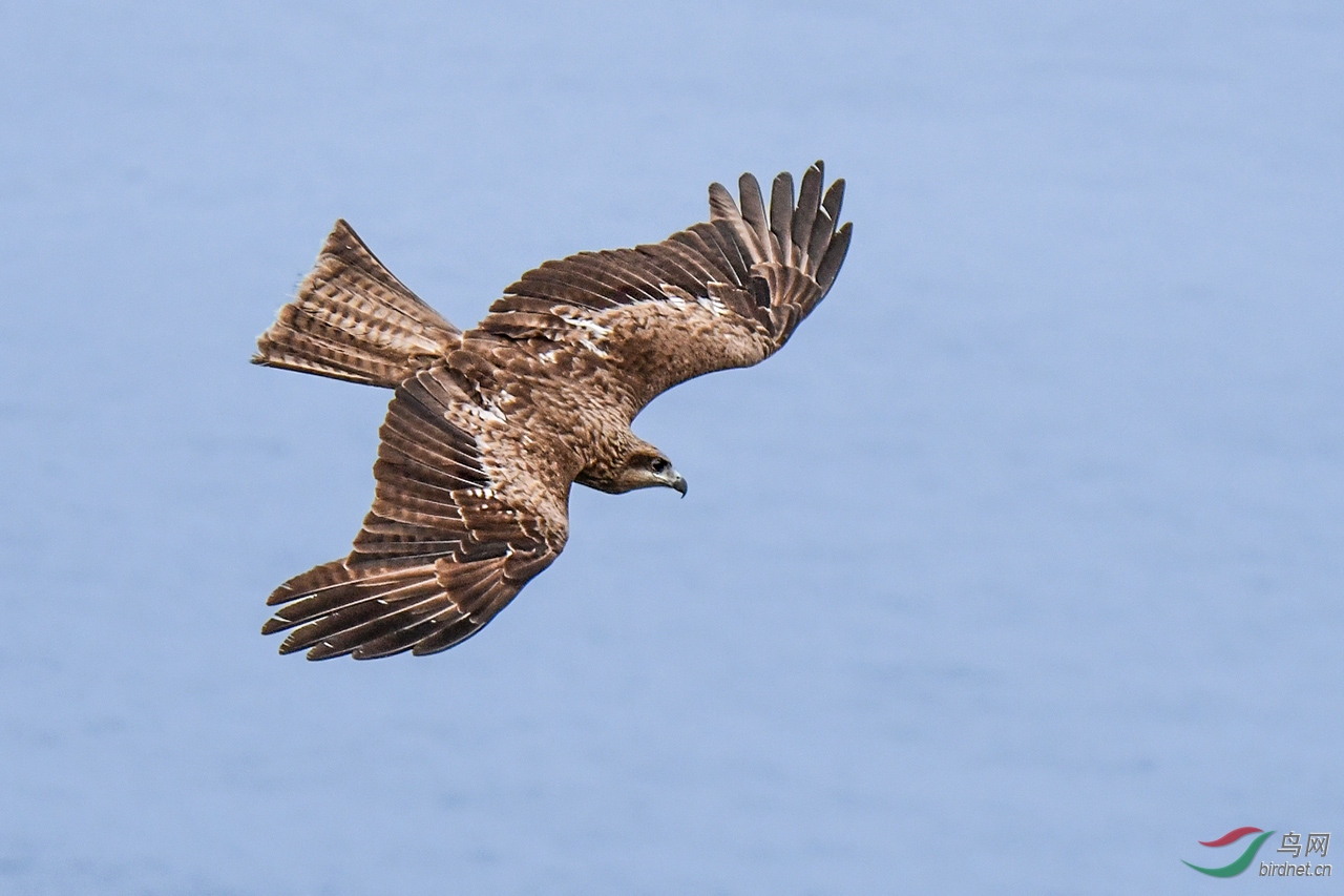 DSC_5993.jpg