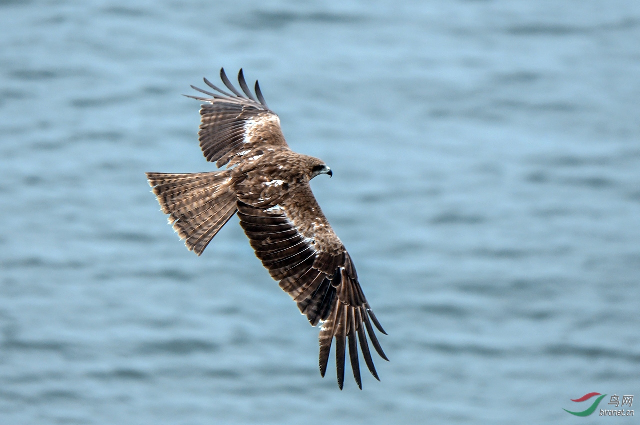 DSC_6059.jpg