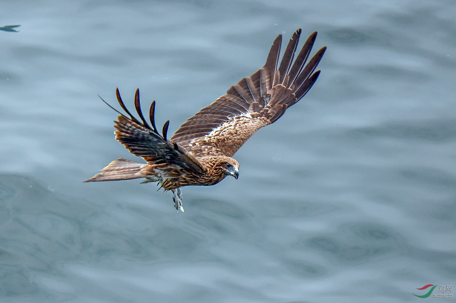 DSC_6102.jpg