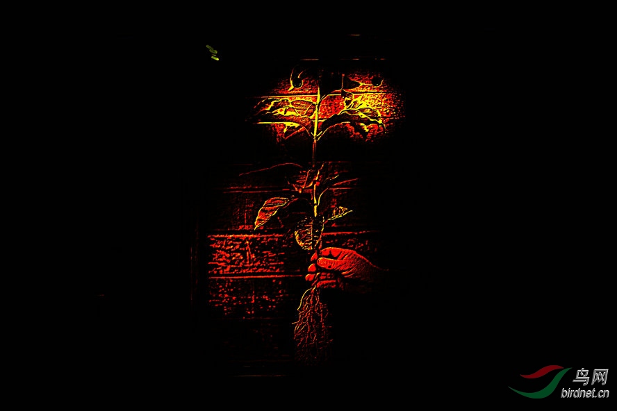 BW6I9414_����_����.jpg