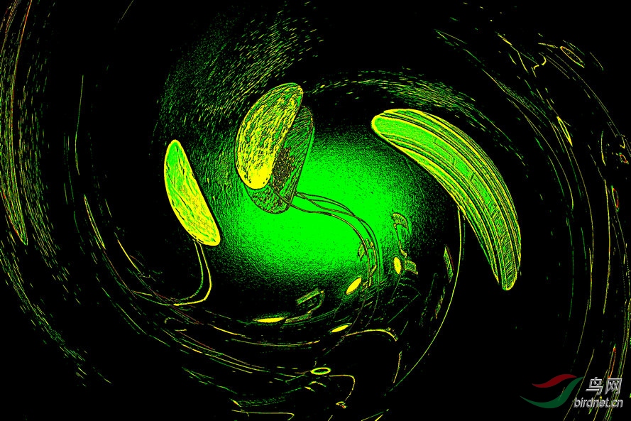 BW6I9428_����_����2_����_����2_����.jpg