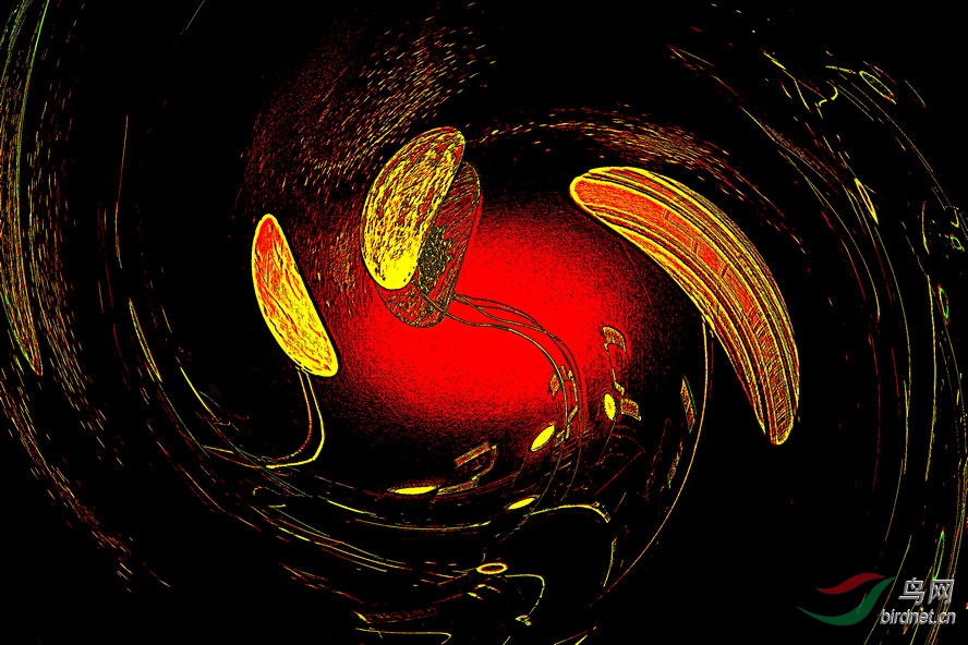 BW6I9428_����_����2_����_����.jpg
