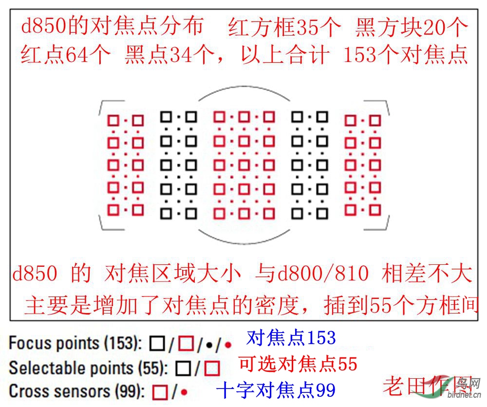 尼康d850d500的自动对焦点分布图