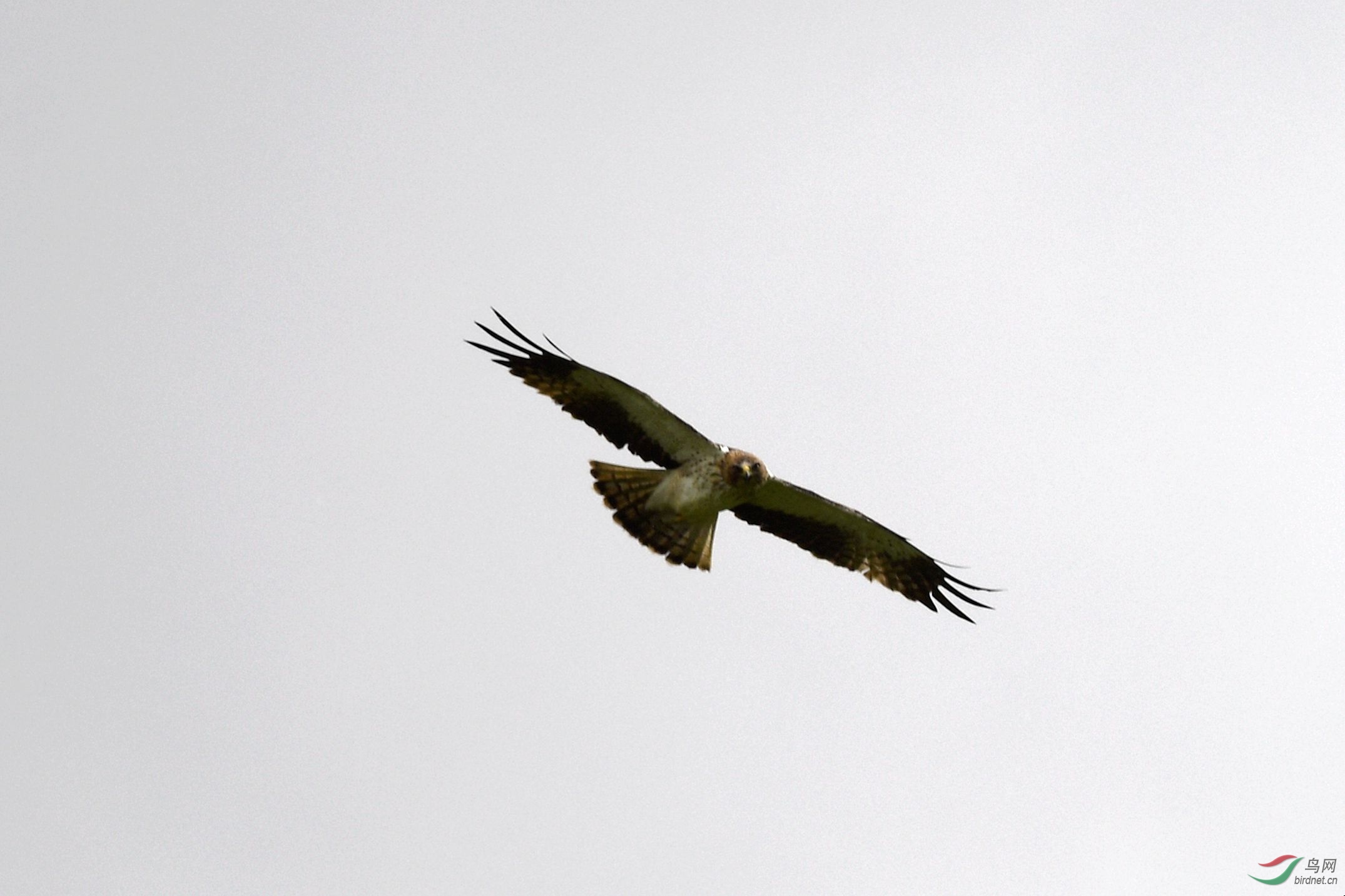 DSC_6366_����.jpg