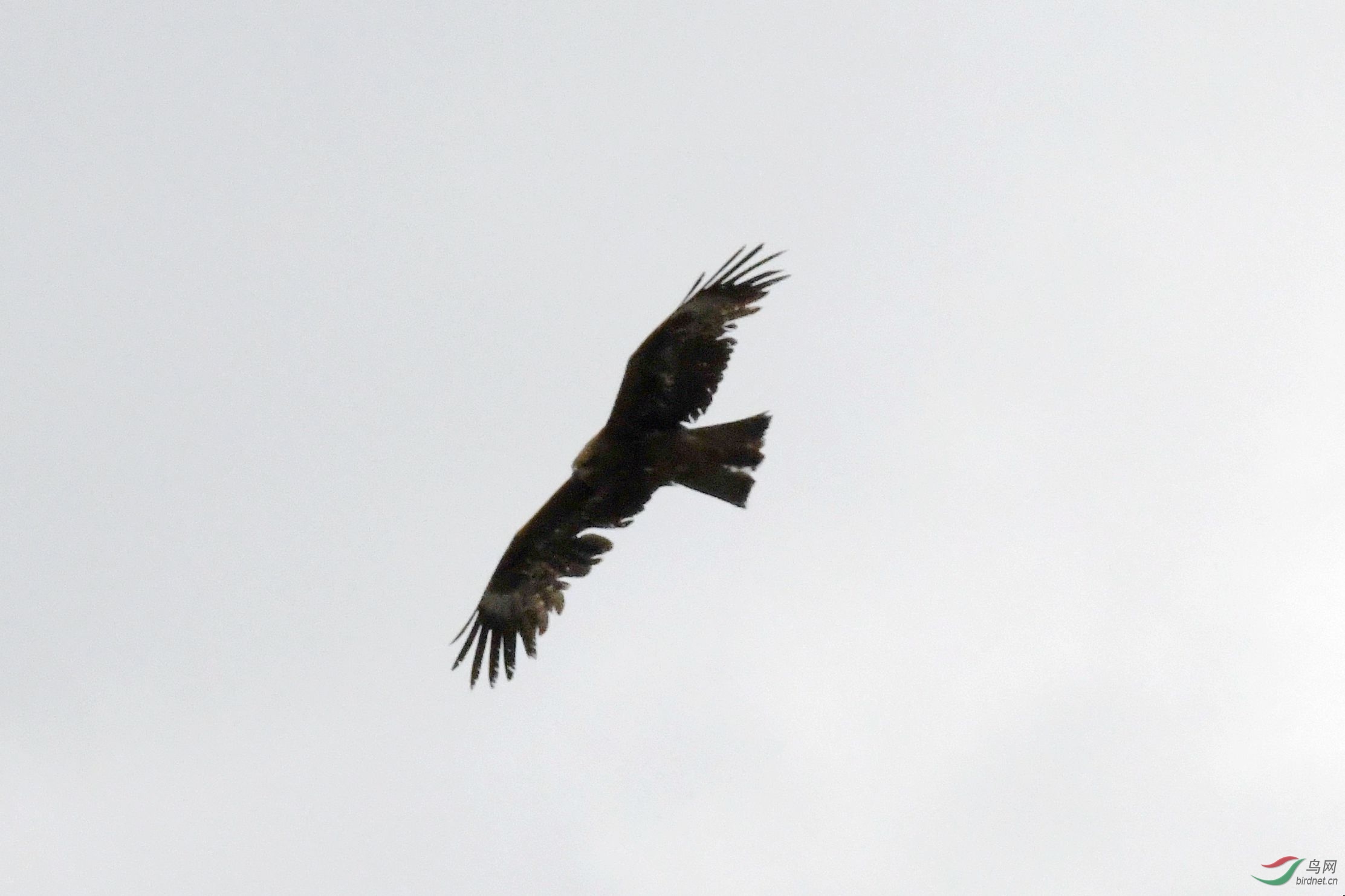 DSC_1716_����.jpg