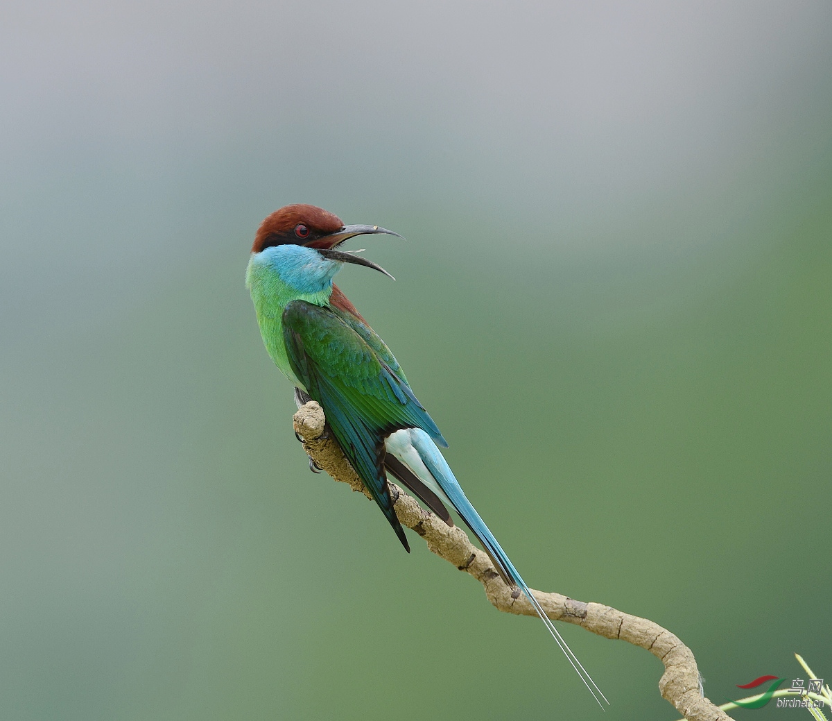D8I_0502.jpg