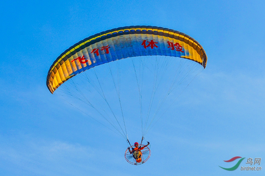 DSC_8286-2.jpg