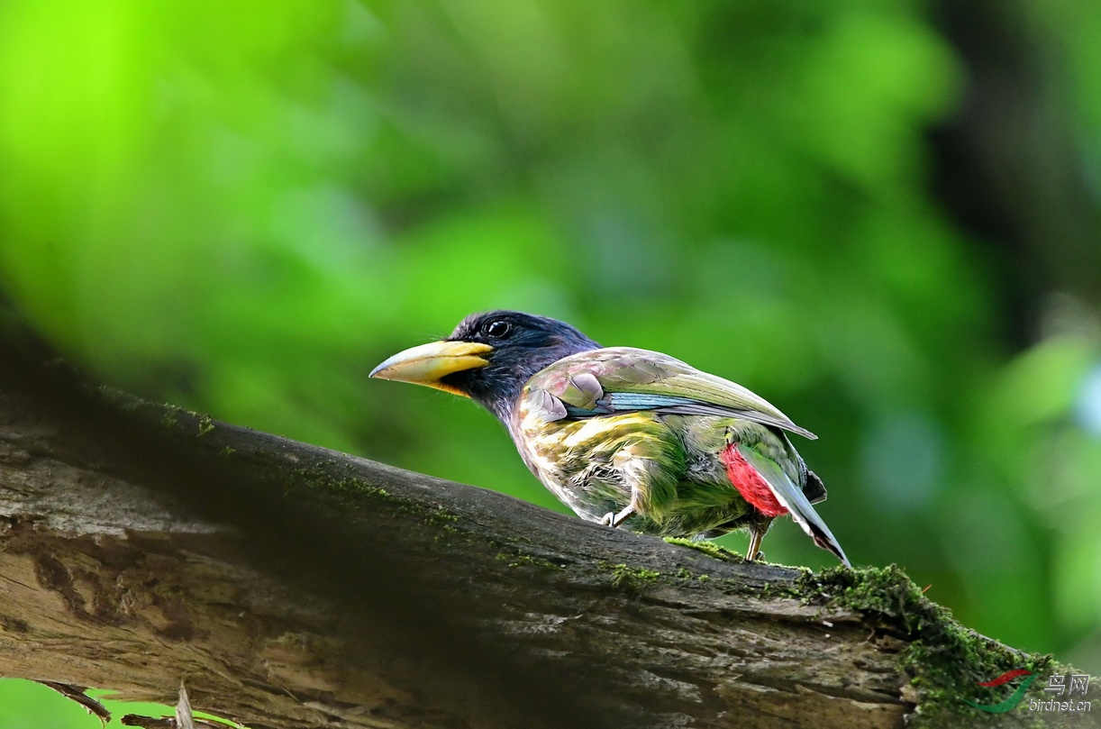 DSC_9279a.JPG