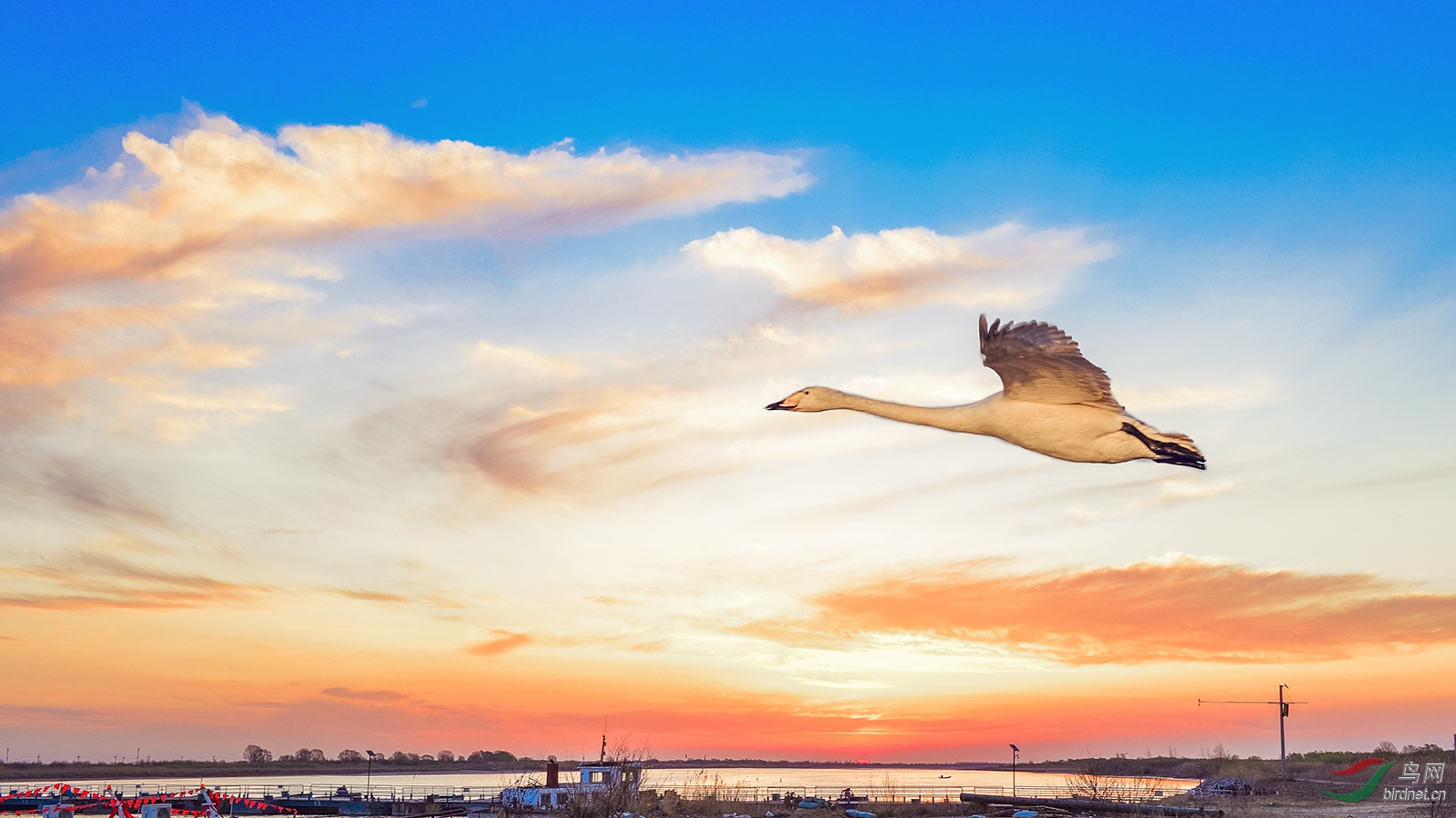 _D8A3440_4503aw2.jpg